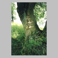 065-1022 Ein Baum als stummer Zeuge auf dem Moterauer Friedhof im Jahre 2003.jpg